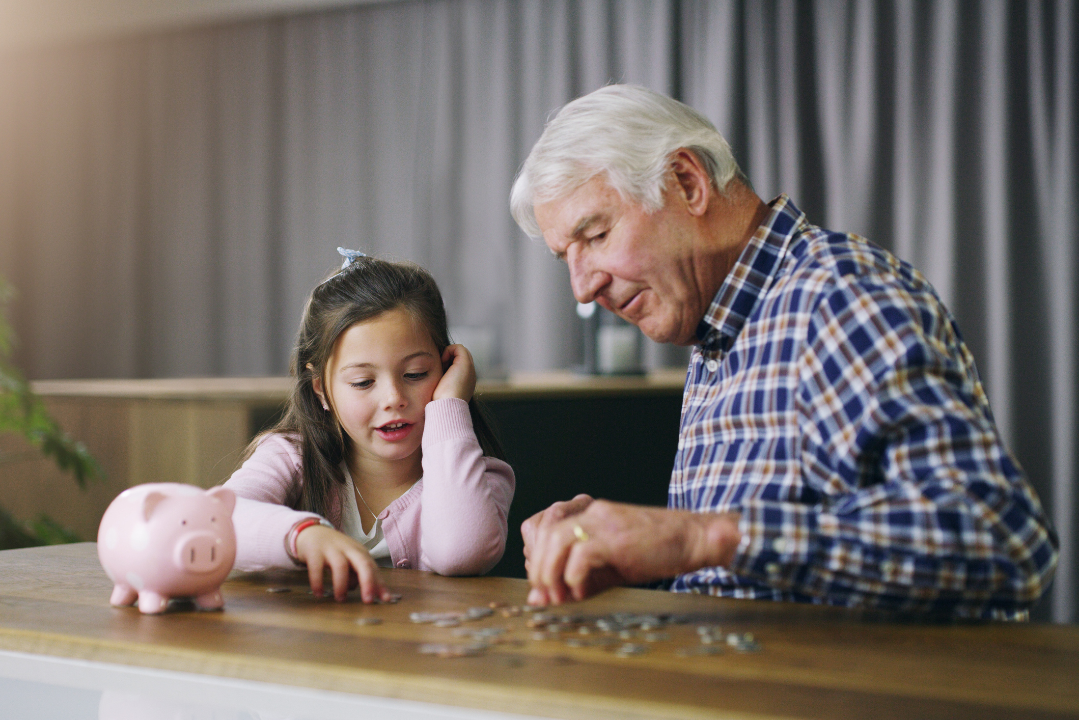 Demonstrated that emergency savings protects retirement and other forms of long-term savings