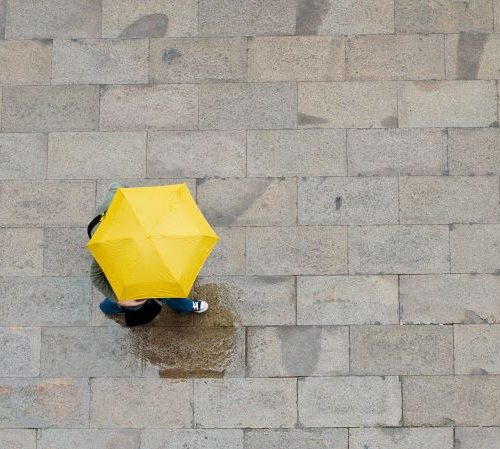 New Book “The Future of Building Wealth” Features Essay from Emergency Savings Initiative